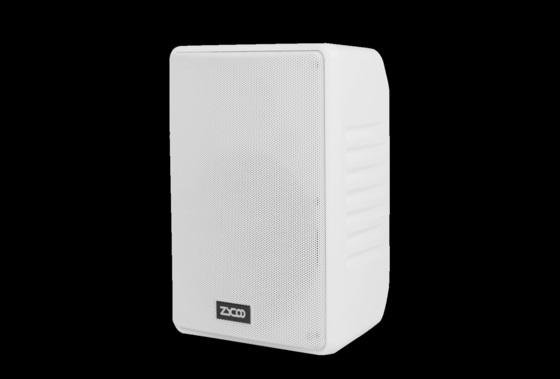 Zycoo SW15 Cabinet Speakers Wandmontierte Fullrange-Antriebseinheiten